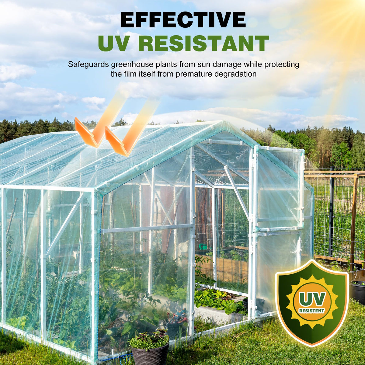 PROMORE 6Mil film with UV blockers reduces harmful rays, extending film life.