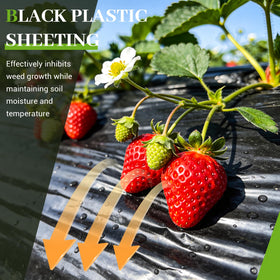 PROMORE waterproof vapor barrier sheet designed for moisture control and protection.