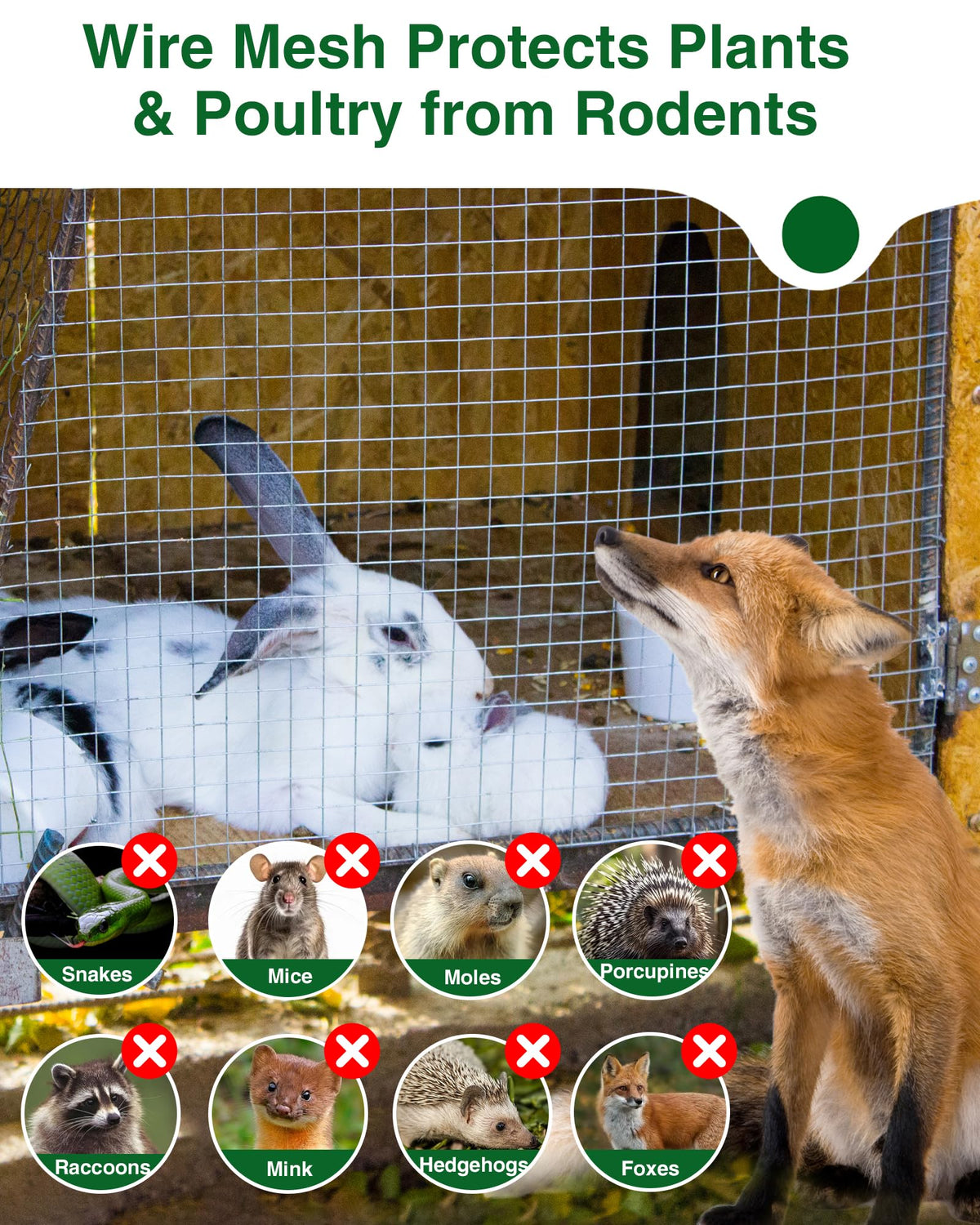 Pterying rabbit hutches fenced with 23 gauge mesh guards small animals.