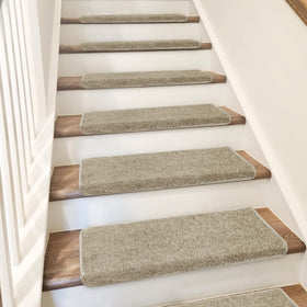 PURE ERA pet-friendly design supports safe, confident climbs for pets.