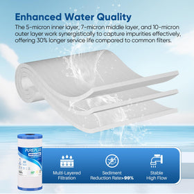 PurePlus AP810 high capacity filter for larger homes.