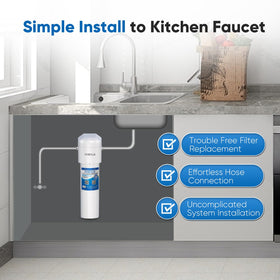 PurePlus filters heavy metals for safer, clearer kitchen water.