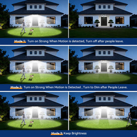 PURICH 6500K daylight output delivers bright, clear visibility outdoors.
