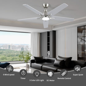 Putroad quiet DC motor enables near-silent performance in bedrooms.