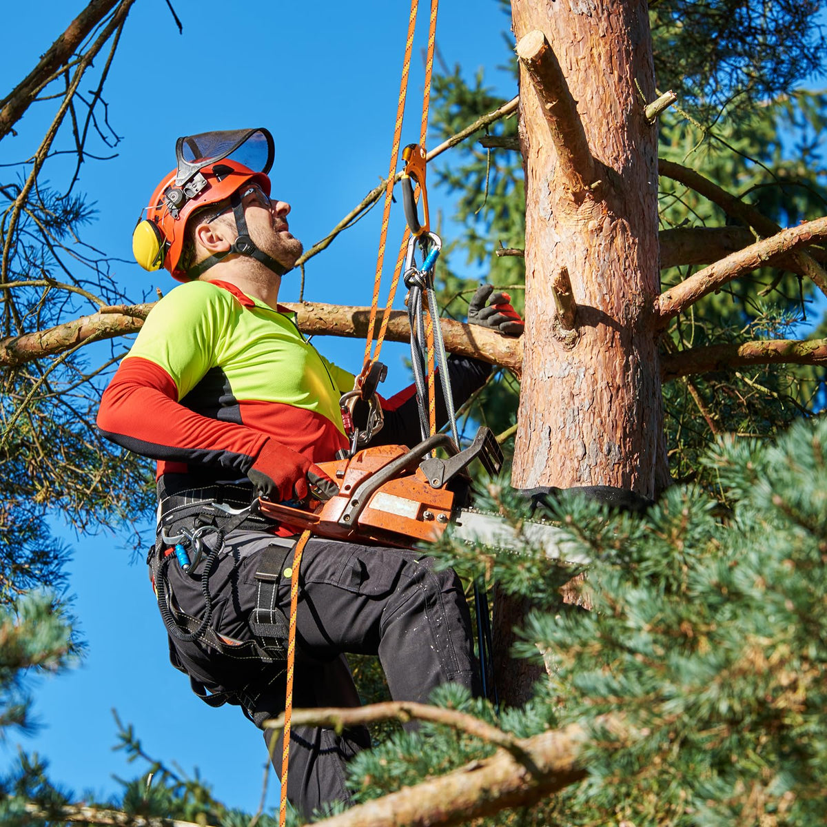 Pyroclastia 9,000 lbs MBS rope enables heavy-duty hoisting and rigging.