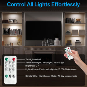PZSUNLY three-color temp dimmable option for adaptable ambiance.