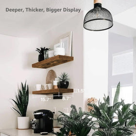 QEEIG shelves angled view shows 2.5-degree upward tilt for stable storage