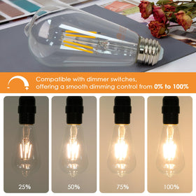 Qingmiao ST64 base LED filament bulb suitable for vintage decor.