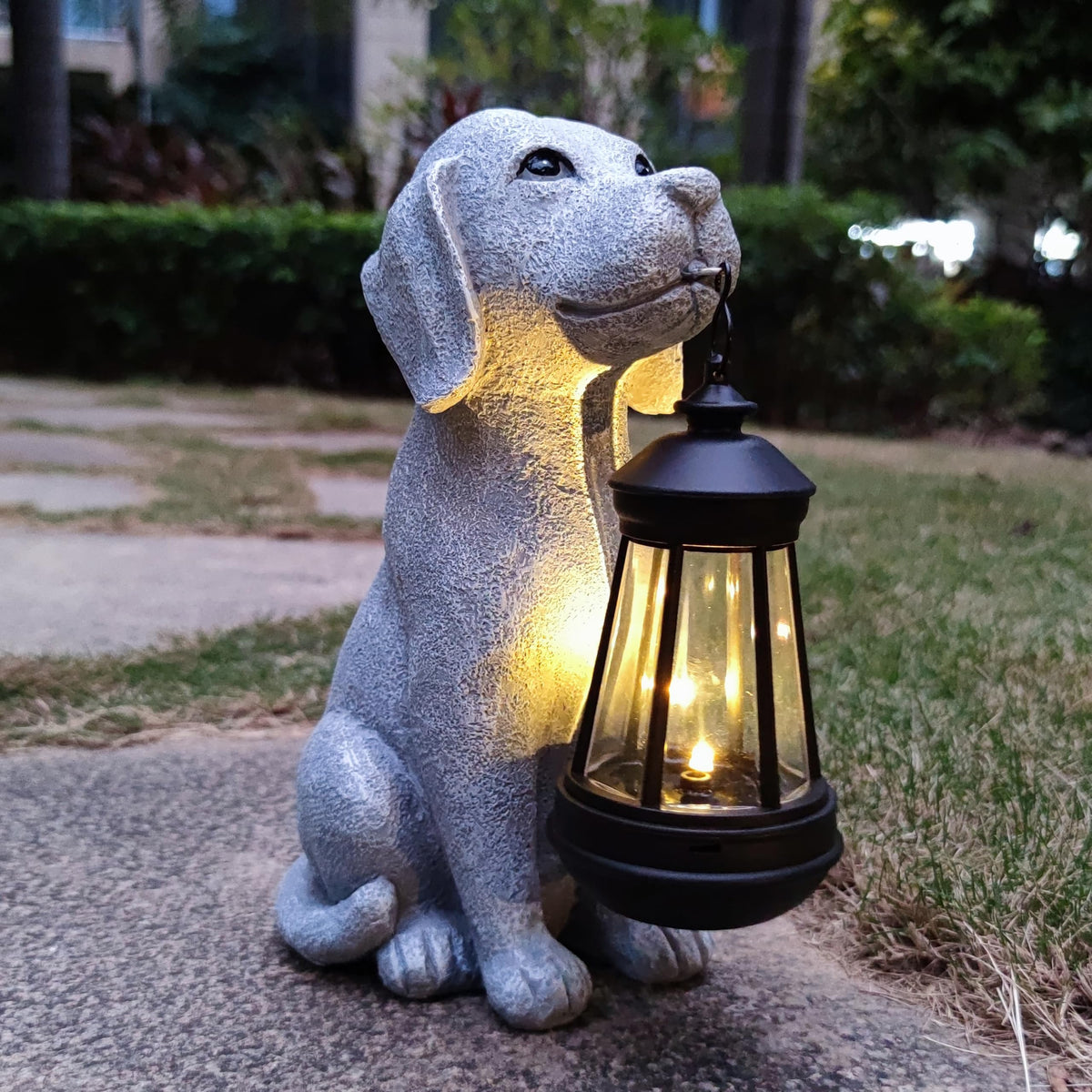 Qobumy solar dog garden statue front view with warm lantern glow