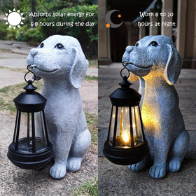Qobumy solar dog outdoor light-on demonstrates auto-illumination at night
