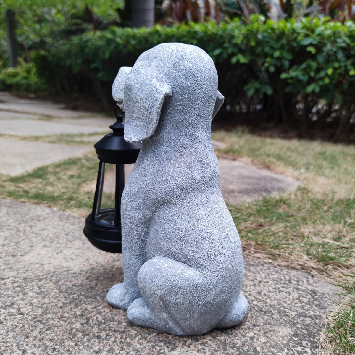 Qobumy solar dog closeup of UV coating and weather protection