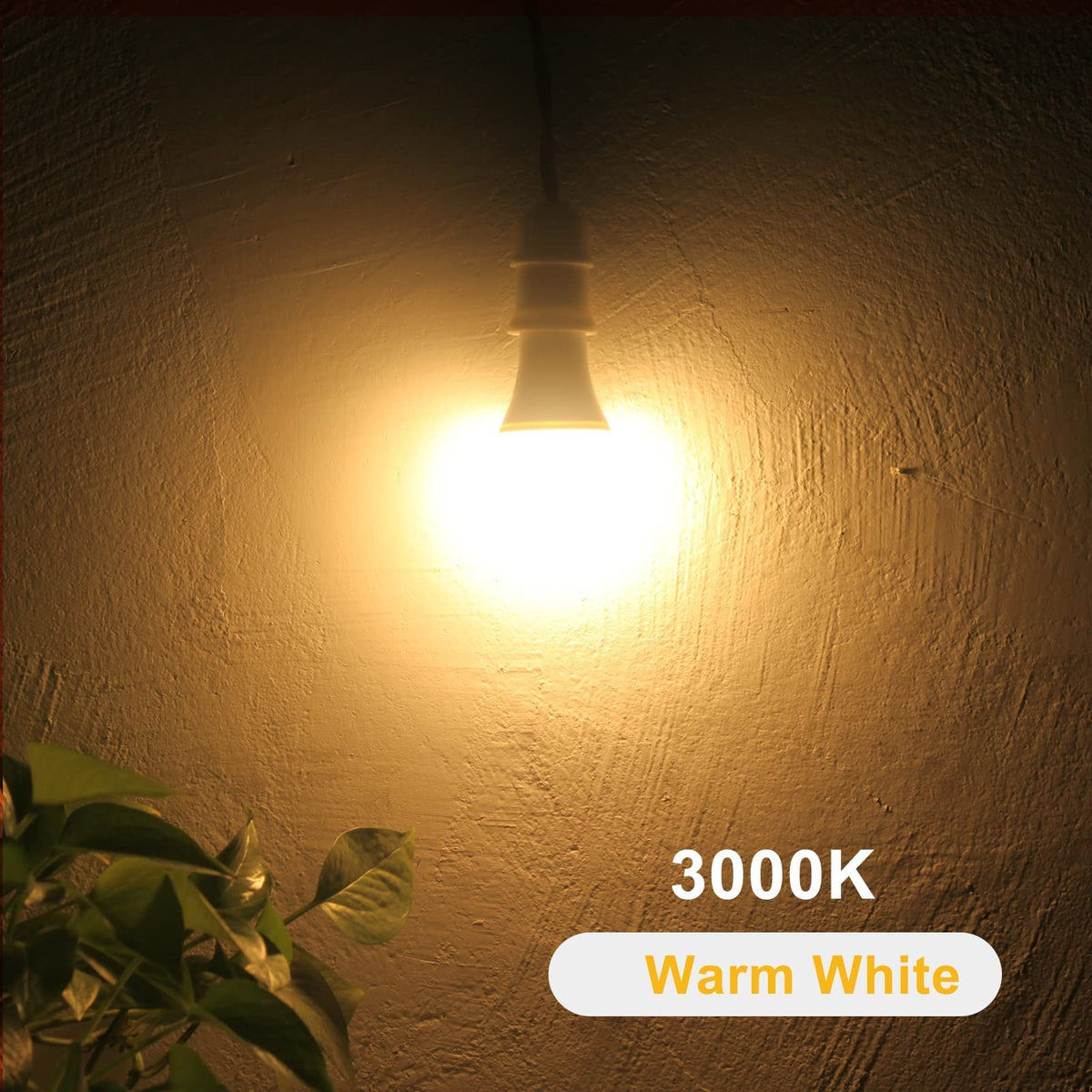 Qualilux long-life LED bulb delivers up to 25,000 hours of service.