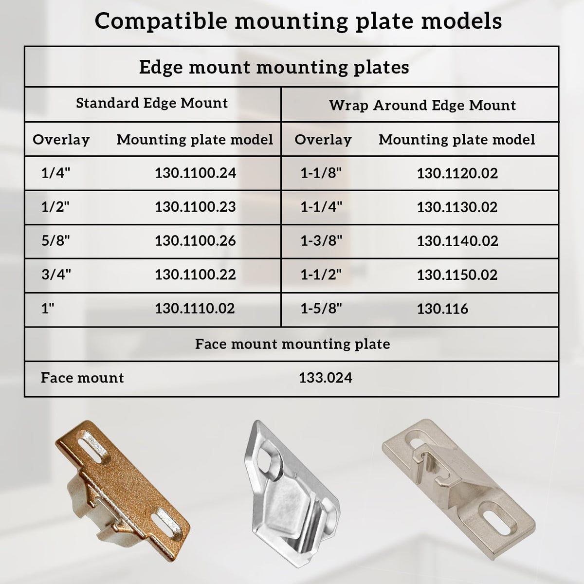 Quini Blum 110 hinge back, side detail, corrosion resistance.