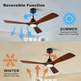 QUTWOB remote-control operation enables easy speed, light, and timer adjustments.