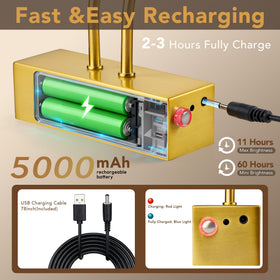 RAIFOOLLY battery-operated light with remote enables cord-free gallery lighting.
