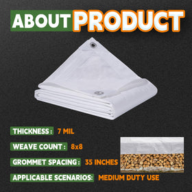 RAINDEWAY tarp protects a vehicle from rain and dirt