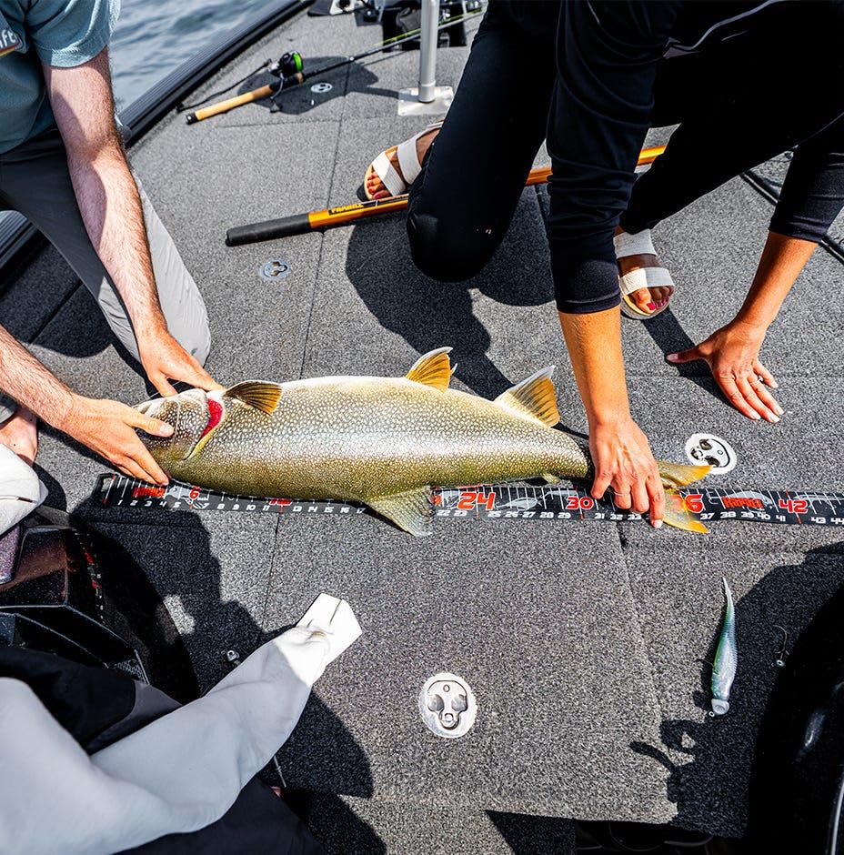 Rapala compact ruler fits in tackle box for quick measurements.