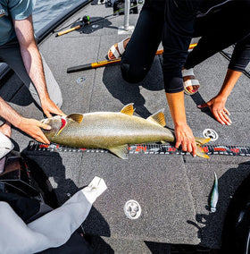 Rapala compact ruler fits in tackle box for quick measurements.
