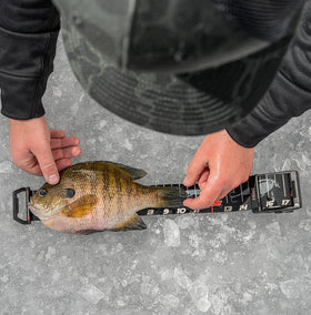 Rapala retractable ruler features clear markings for accurate fish length.