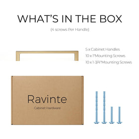 Ravinte hardware side-angle view reveals smooth projection and clean aesthetic.
