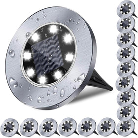 Rayolon solar ground light on a path for bright, energy-efficient guidance.