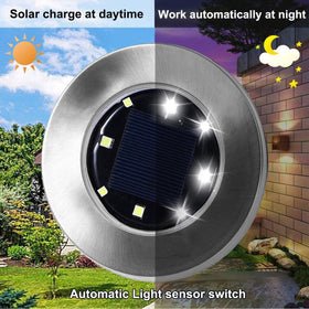Rayolon disk light installed along garden bed for landscape illumination