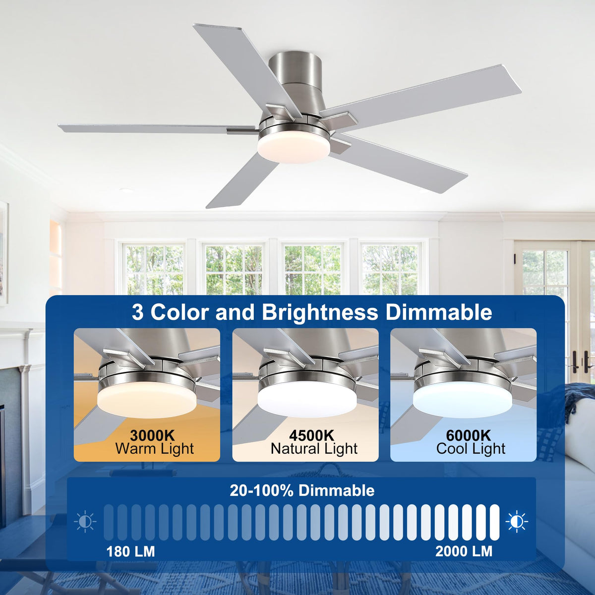 Rayqueen 6-speed DC motor delivers quiet, powerful airflow.
