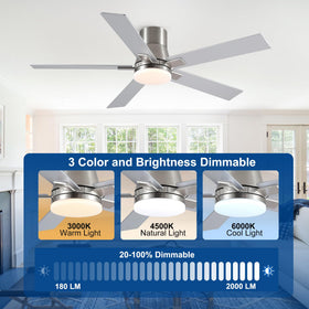 Rayqueen 6-speed DC motor delivers quiet, powerful airflow.