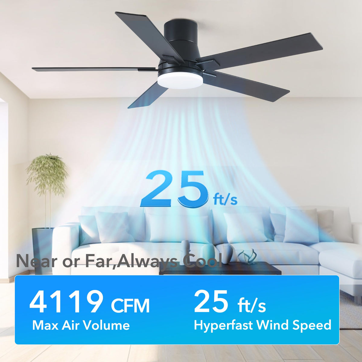 Rayqueen remote control simplifies speed and lighting adjustments from anywhere.