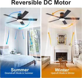 Rayqueen flush-mount low-profile design blends with ceilings for a sleek look.