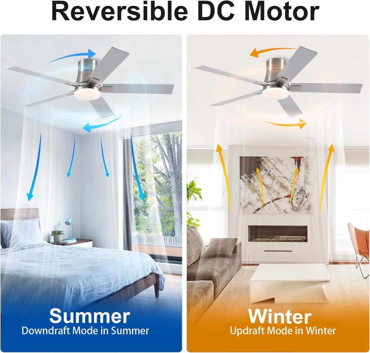 Rayqueen low-profile flush-mount design fits rooms with limited ceiling height.