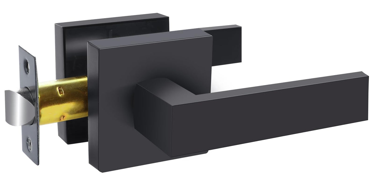 RAZCC Passage Door Lever in matte black ideal for hallway access and modern interiors.