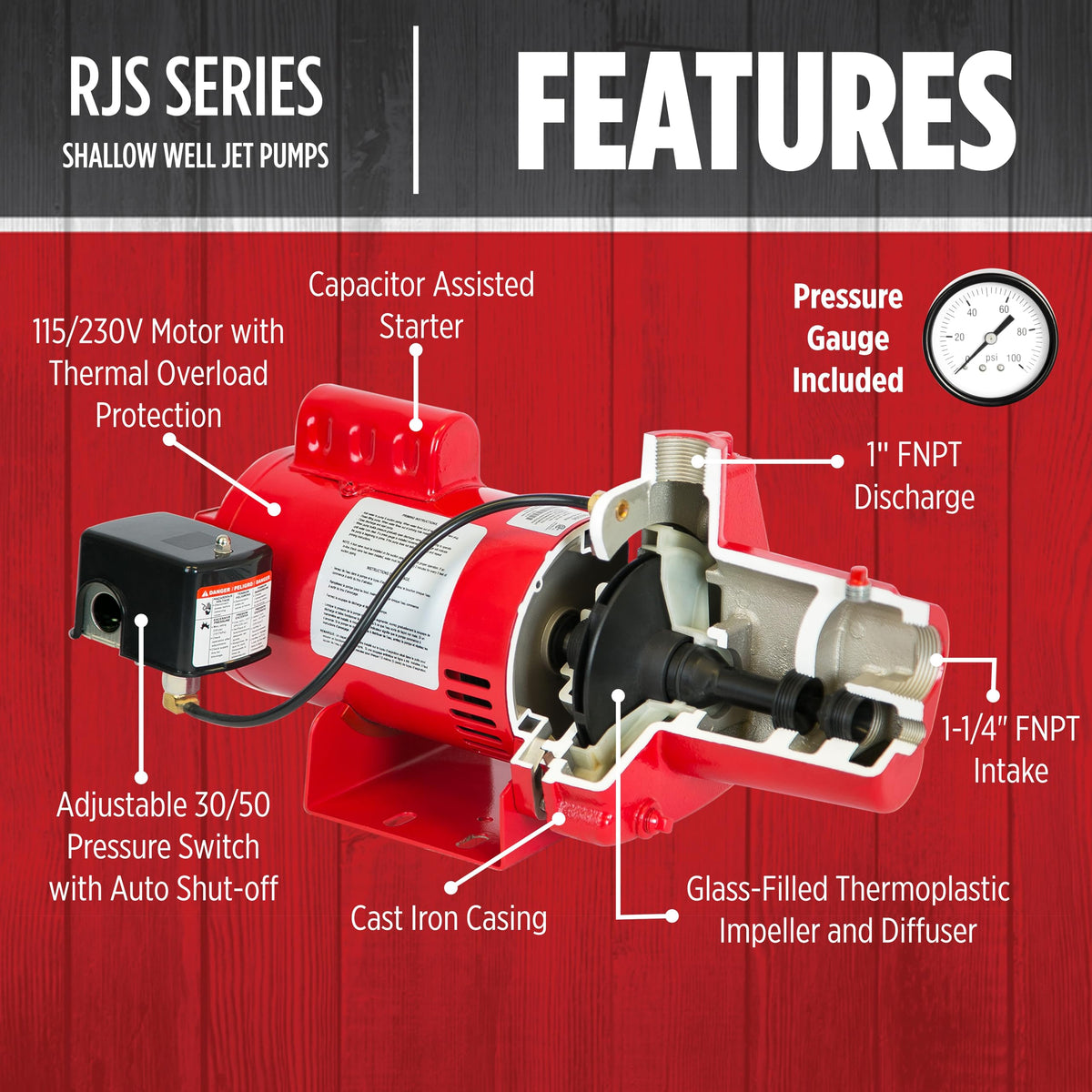 Pressure switch and gauge detail with factory 30/50 PSI setting.