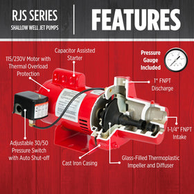 Pressure switch and gauge detail with factory 30/50 PSI setting.