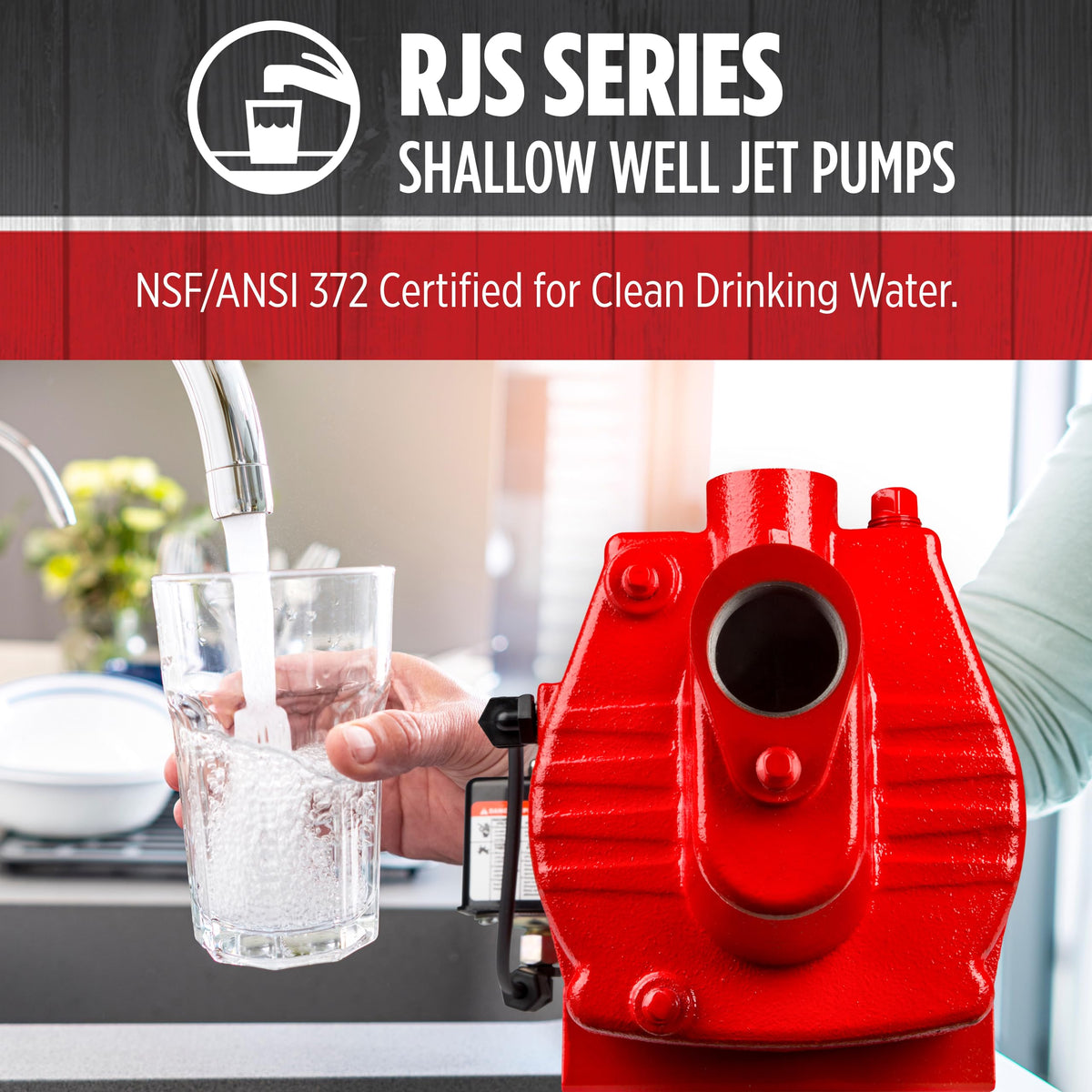 Residential well system with Red Lion pump delivering steady water supply.