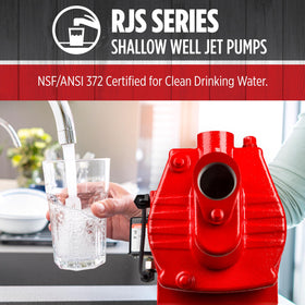 Residential well system with Red Lion pump delivering steady water supply.