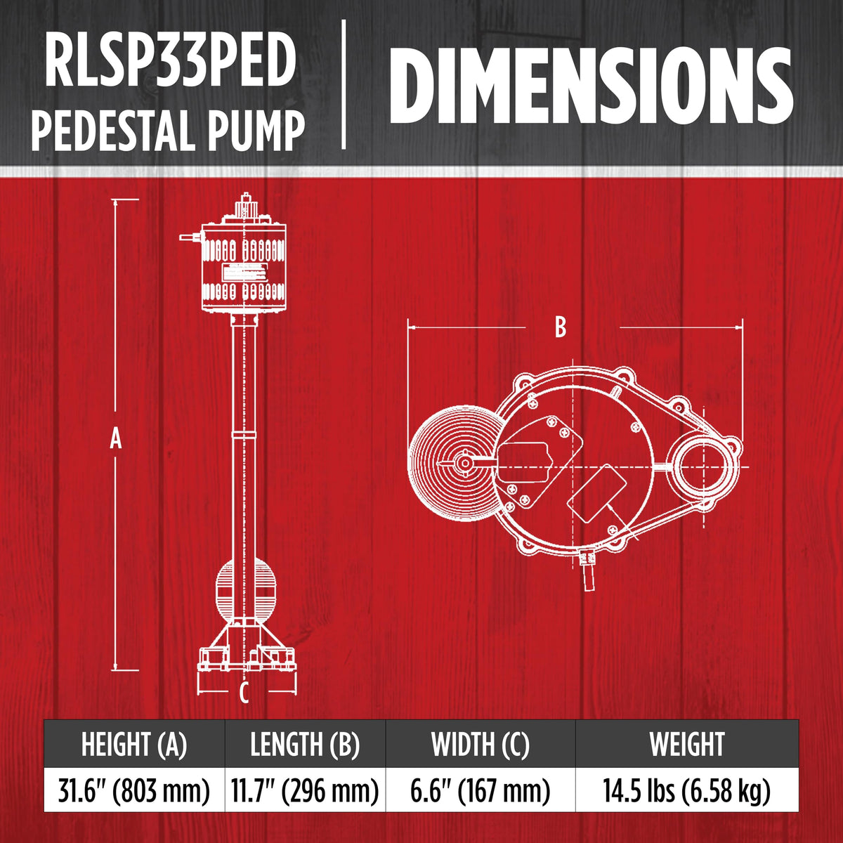 Red Lion RLSP33PED float switch assembly enabling automatic water-level control in basements