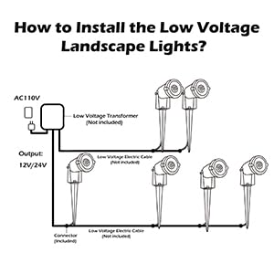 REEGOLD 12-pack pathway lights create cohesive exterior lighting along driveways.