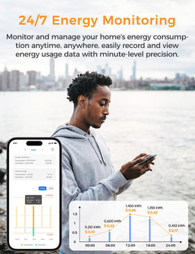 Refoss energy monitor data export CSV option for audits