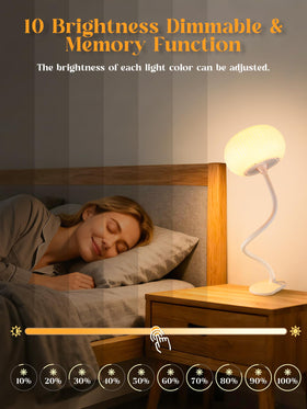 ReinHoo bedside light creates cozy ambiance for bedtime reading.