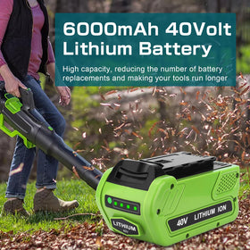 Reoben 6000mAh 40V battery packaging shows durable build.