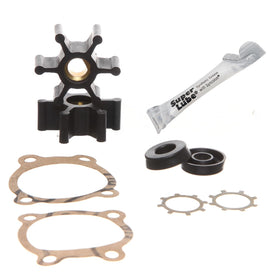 REPLACEMENTKITS.COM overhaul kit for PAS-30 pump—durable parts for easier maintenance.