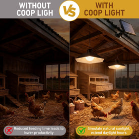 Rerekiki dual-head LEDs provide balanced warmth for hens and broilers