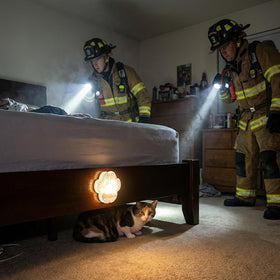 Rescue Retriever attached to a bed rail shows versatile mounting options.