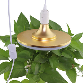 REXTIN ceiling hooks and cord hooks simplify hanging installations