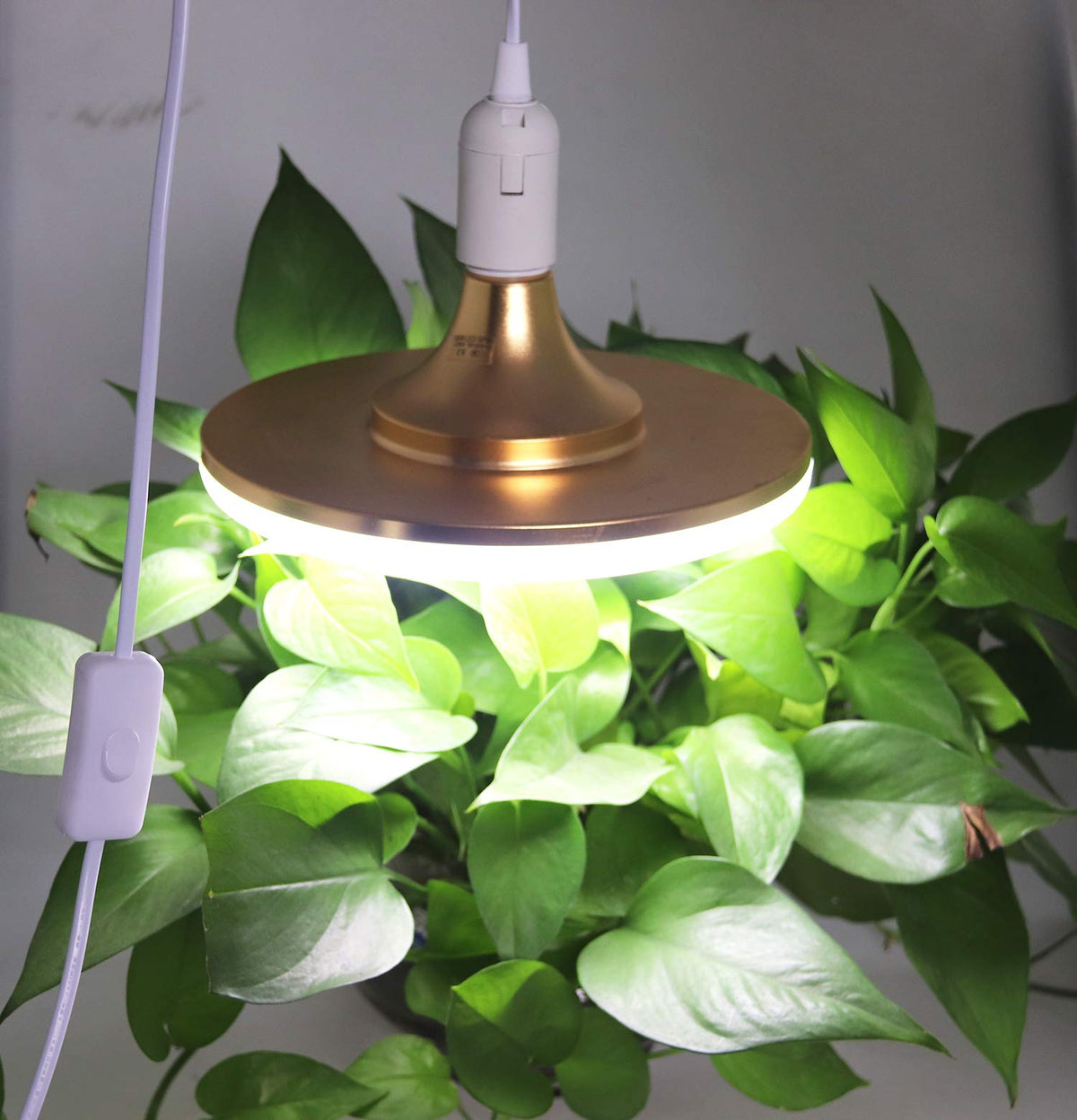 REXTIN kitchen pendant installation with E26 sockets