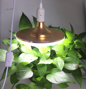 REXTIN kitchen pendant installation with E26 sockets