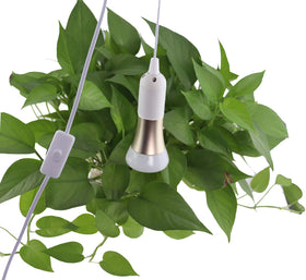 REXTIN cafe pendant setup creates warm ambience