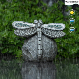 Rezpuao dragonfly patio decor sunlit scene