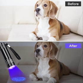 Riakrum pocket-sized UV torch with strap for easy carry.